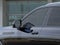 2026 Cadillac ESCALADE IQL Premium Sport