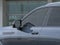 2026 Cadillac ESCALADE IQL Premium Sport