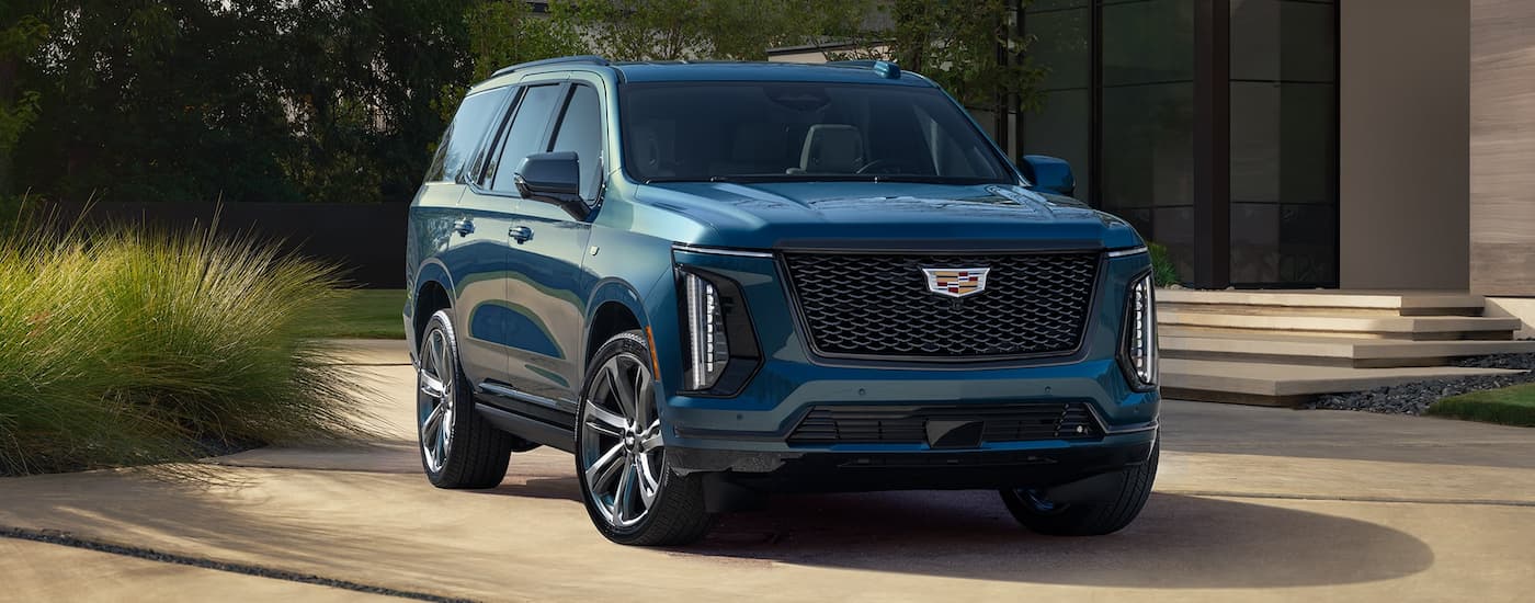 Blue 2026 Cadillac Escalade parked outside a building.